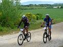 nougalopett (39)